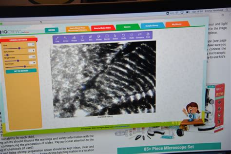 Basic Microscope Use 的图像结果