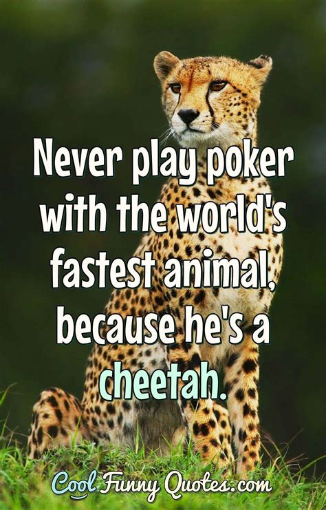 Funny Animal Quotes - Cool Funny Quotes
