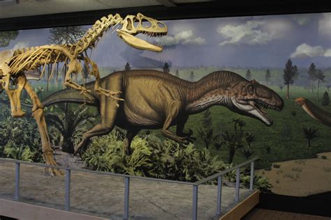 Real Dinosaurs Bones