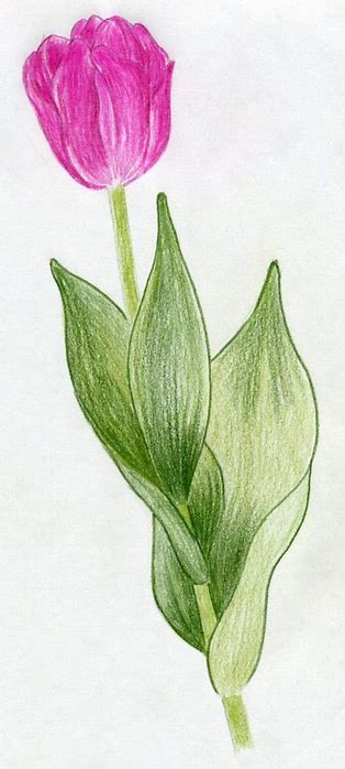 tutorial easy way to draw pencil sketches