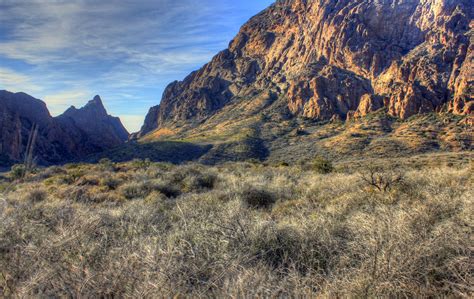 Mountains from the Basin at Big Bend National Park, Texas image - Free ...