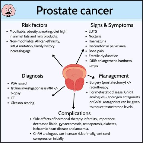 Prostate cancer signs – Artofit