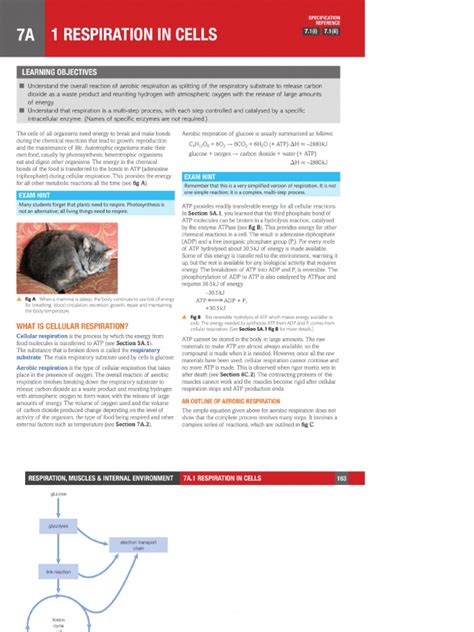 Image result for Bio Chapter 2