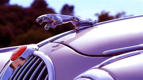 Best Of Jaguar Car 4k Wallpaper Download wallpaper