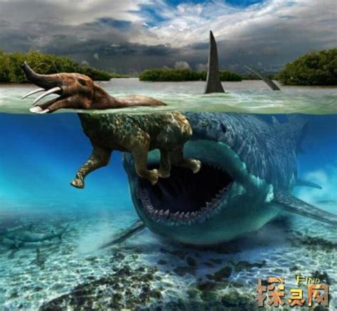 侏罗纪、爱吃人？《巨齿鲨》可能真的不懂巨齿鲨| 果壳 科技有意思