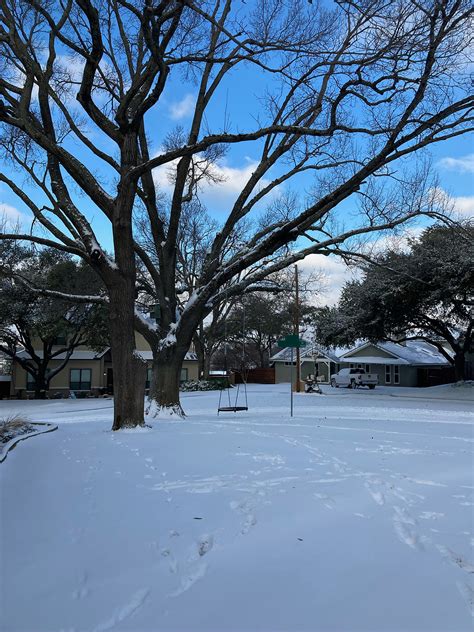 Why Do Trees Not Freeze In The Winter