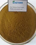 Image result for Echinacea Extract Powder