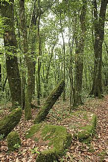 Class 10 Geography Chapter 2 Question Answers - Forest and Wildlife ...