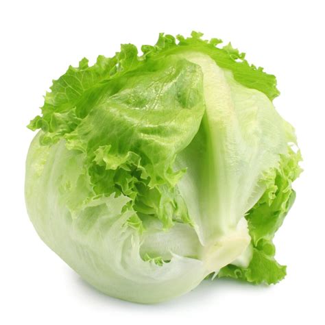 Lettuce / Iceburg