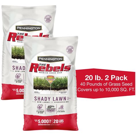 Pennington Rebels Fescue Shady Lawn Grass Seed 20 Pound, 2 Pack ...