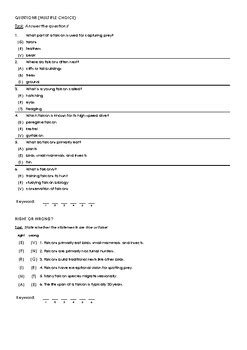 Image result for Falcon C++ Coding Lessons