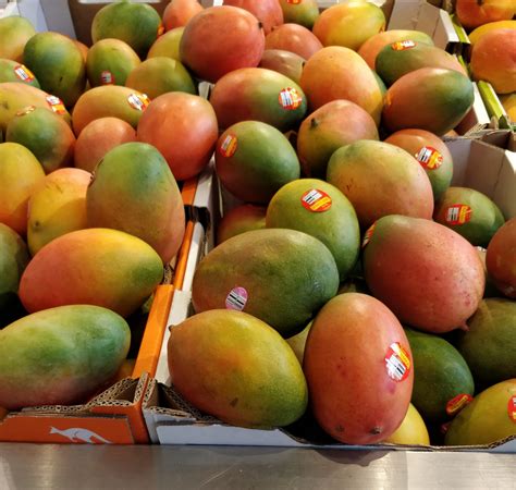 Image result for Mango Types Mango Varieties