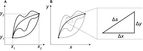 The Euler–Lagrange Equation