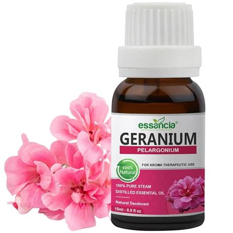 Essancia Geranium Essential Oil for Hair Growth & Skin Care - 100% Pure ...