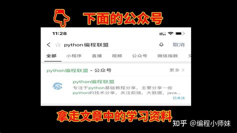 Chinese Python Tutorila 的图像结果