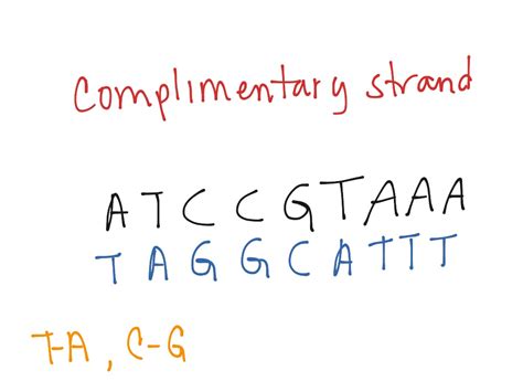 Basic Science Examples 的图像结果
