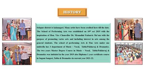 History, School of Performing Arts and Fine Arts, Punyashlok Ahilyadevi ...