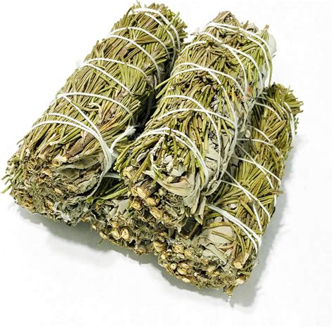NY Spice Shop 4 Inch Rosemary and White Sage Bundle - 5 Pack - Sage ...