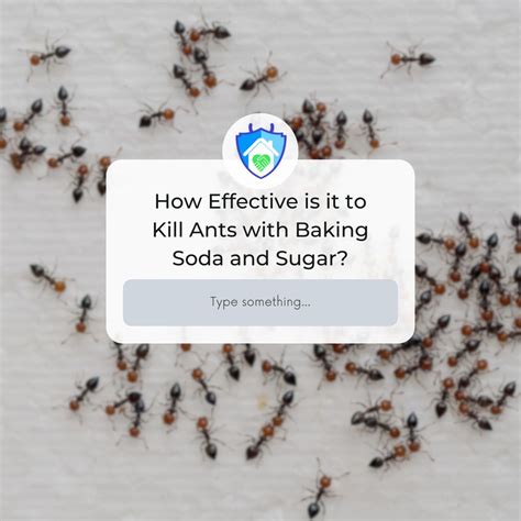 How baking soda and sugar trick can fight ant pests | Pest Friends in ...