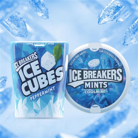 Can Ice Breakers Gum Kill A Dog at Lori Allan blog