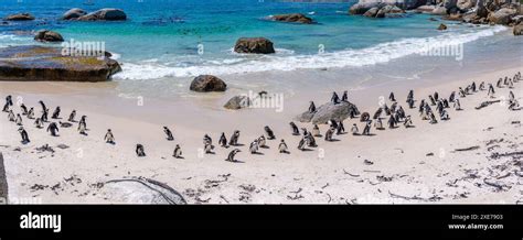 Image result for Count and Say Python Code Coding Ninja Solution