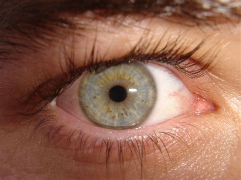 eye berkilau