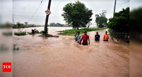 Overflow drains inundate agricultural fields in villages | Chandigarh ...