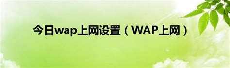 今日wap上网设置（WAP上网）_华夏文化传播网