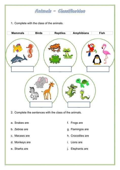 Animal Classification Worksheet 的图像结果