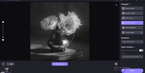 Image result for Color Splash Photography