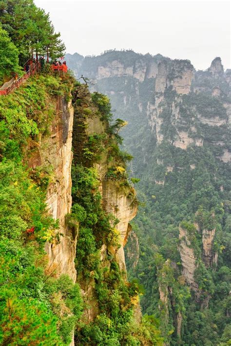 Avatar China 的图像结果