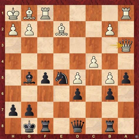 Talk of the Universe: Ganguly in conversation with Boris Gelfand ...