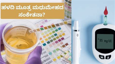 Urine-Diabetes: ಹಳದಿ ಮೂತ್ರ ಮಧುಮೇಹದ ಸೂಚನೆನಾ? ಡಯಾಬಿಟಿಸ್ ಡೌಟ್ ಇದೆಯಾ ...