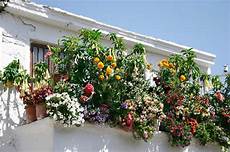 fiori in terrazzo trasformare il balcone in un oasi immersa nel verde fiori in terrazzo trasformare il balcone in un oasi immersa nel verde