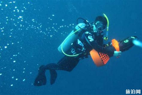 海南浮潜哪里最好 海南旅游潜水的地方推荐 - 潜水 - 旅游攻略