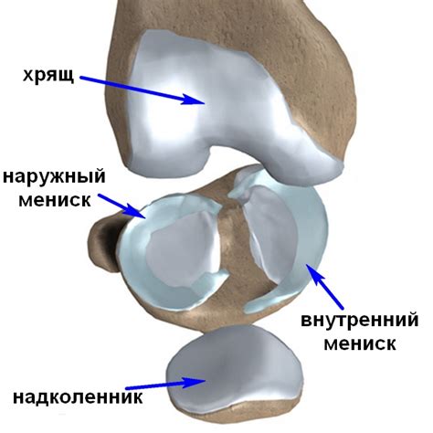 Повреждения хряща, симптомы и лечение