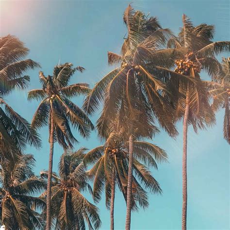 81+ Short Summertime Quotes to Brighten Your Day - Darling Quote