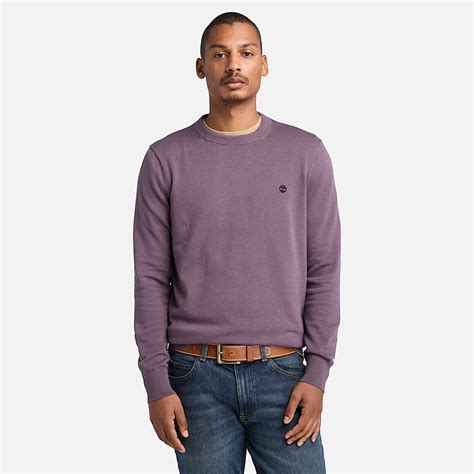 Williams River Cotton Yarn Dyed Jumper for Men in Purple