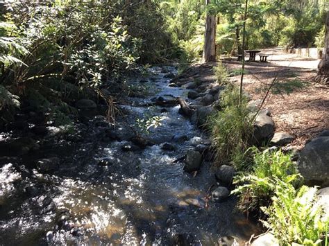Badger Weir Picnic Area (Badger Creek) - 2021 What to Know Before You ...