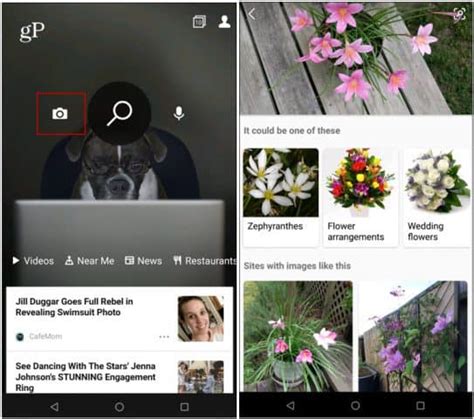 Bing Camera Search 的图像结果