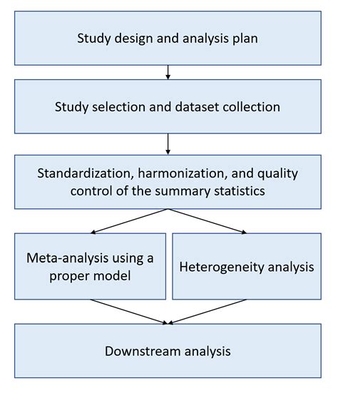 Meta-Analysis Definition 的图像结果