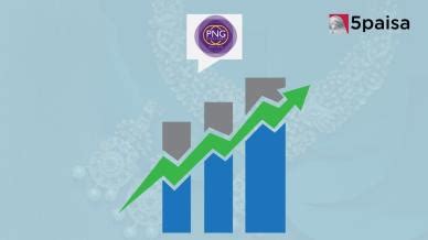 PN Gadgil Jewellers' Shares Rise 2.5% After Strong Q3FY25 Update | 5paisa