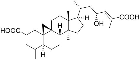 Small Molecules Targeting Programmed Cell Death in Breast Cancer Cells