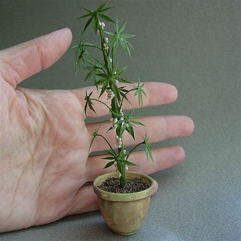 It's Legal in Miniature Faux Potted Marijuana Plant