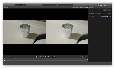 Catalyst Browse Tutorial 的图像结果