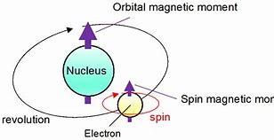 Image result for nuclear magnetic moment
