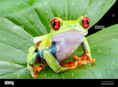 Image result for New Line JavaScript