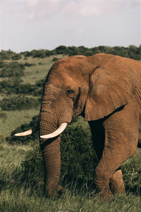 Image result for 12 Step by Step Desktop Computer Assembly Process