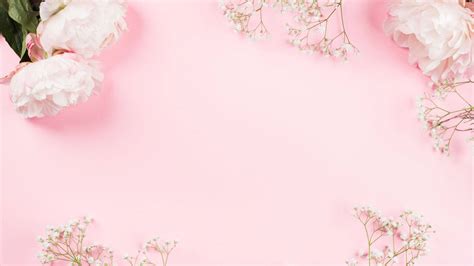 [400+] Pink Flowers Wallpapers | Wallpapers.com
