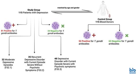 Toxoplasma gondii Seroprevalence and Associated Risk Factors in ...
